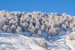 Du lịch Azerbaijan 4 mùa trong năm